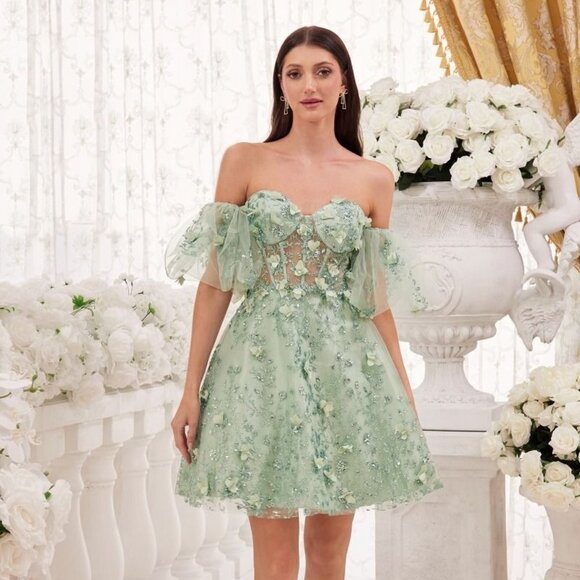 Cinderella Dresses & Skirts - NEW SHORT OFF THE SHOULDER SLEEVELESS BABY DOLL DRESS WITH ZIPPER BACK CD KV1089